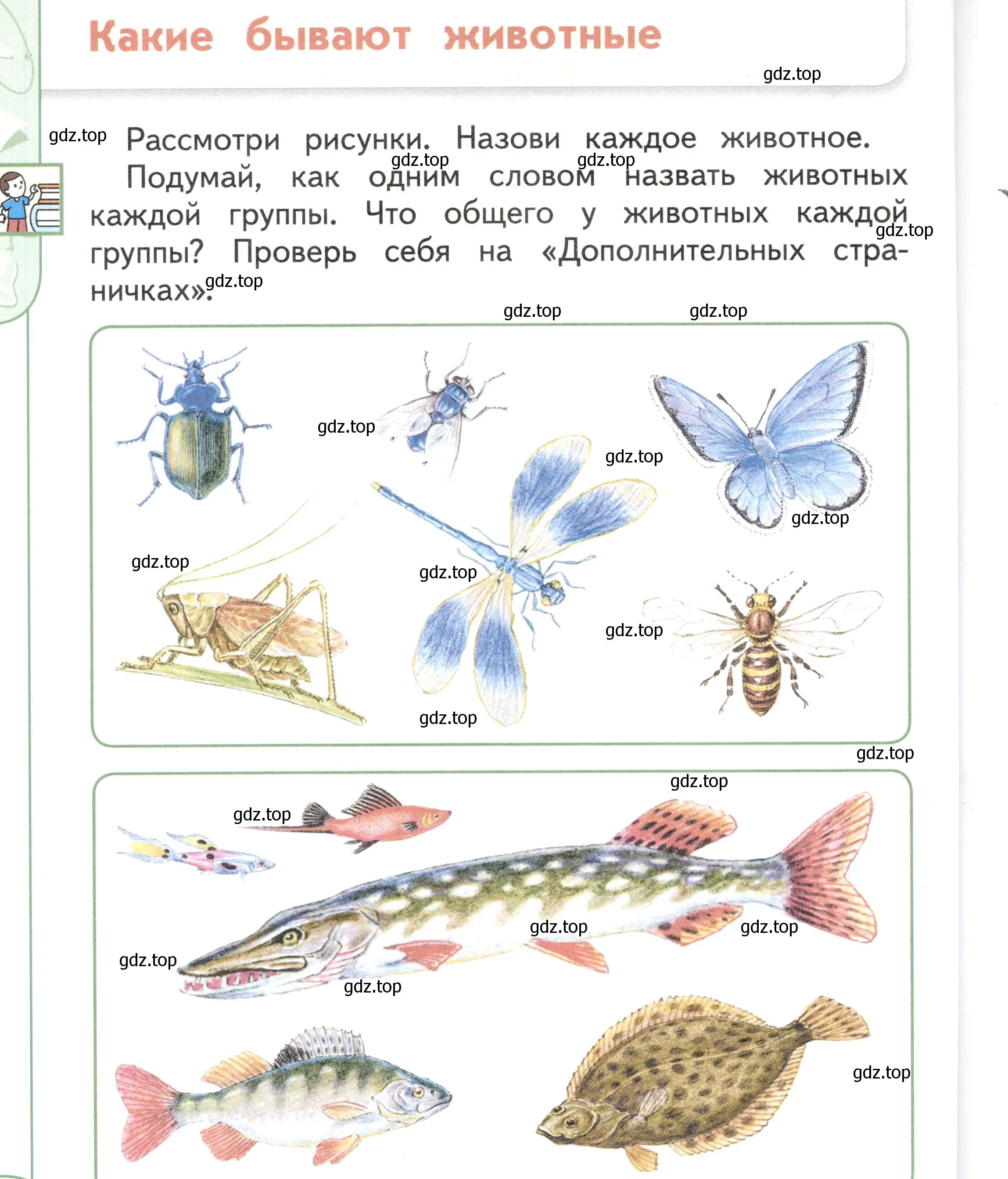 Условие Страница 44 гдз по окружающему миру 1 класс Плешаков, Новицкая, учебник 1 часть