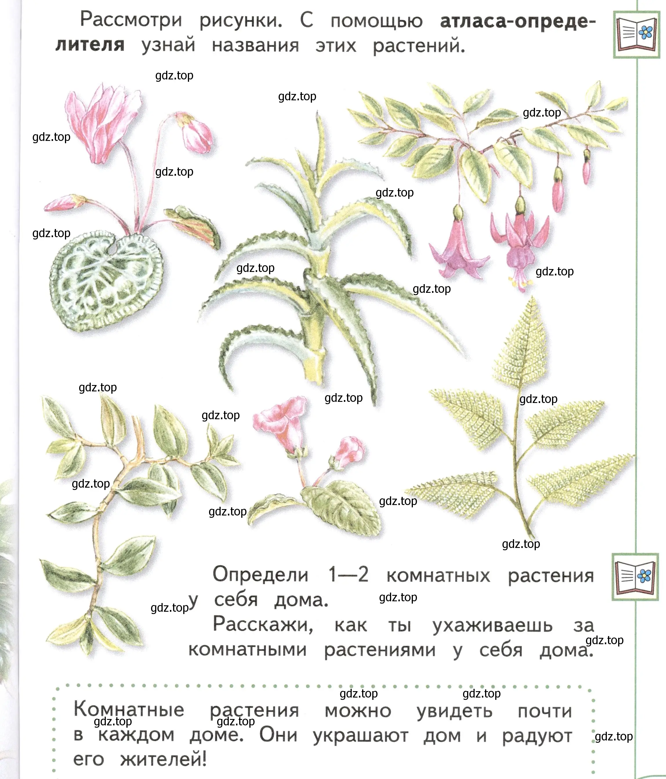 Условие Страница 65 гдз по окружающему миру 1 класс Плешаков, Новицкая, учебник 1 часть