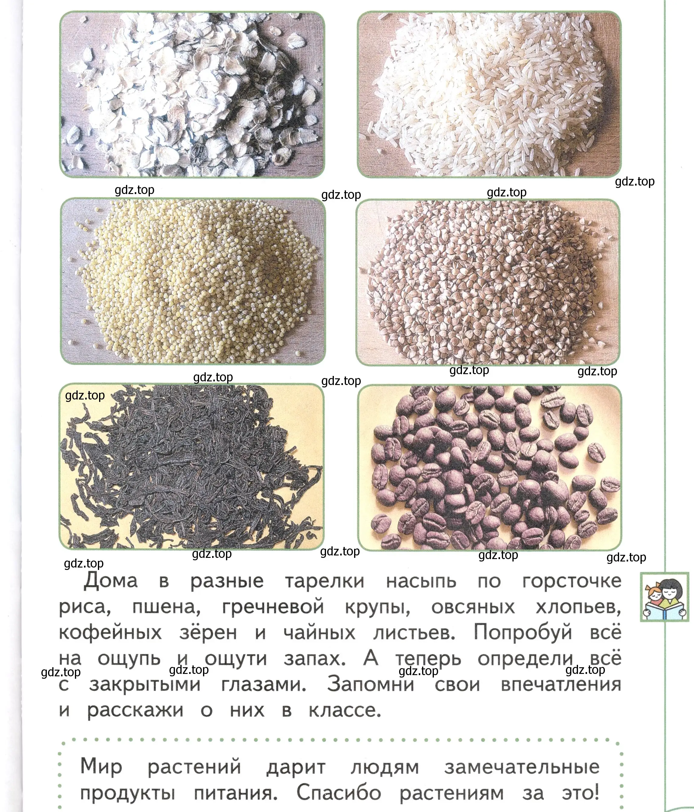 Условие Страница 73 гдз по окружающему миру 1 класс Плешаков, Новицкая, учебник 1 часть