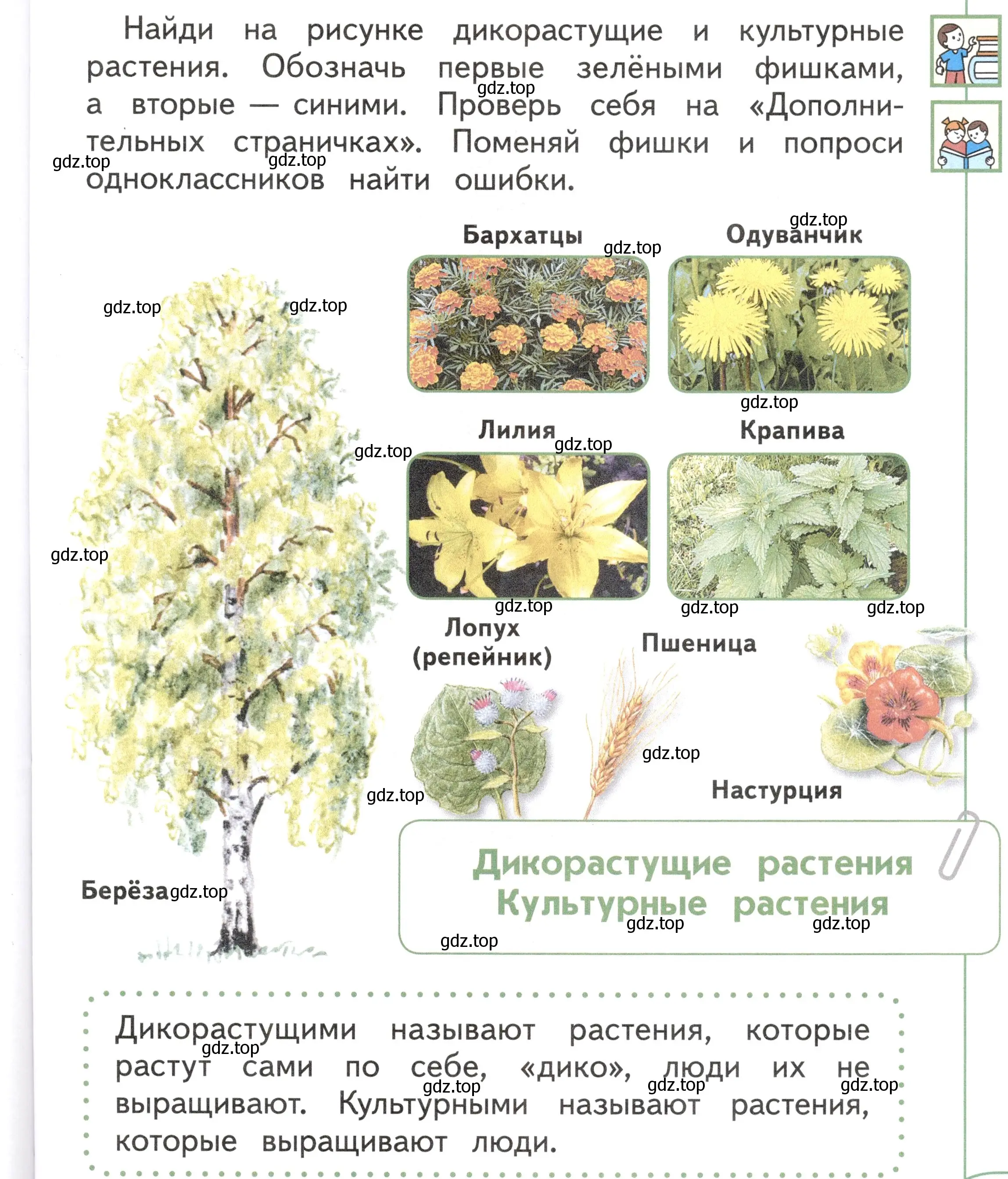 Условие Страница 75 гдз по окружающему миру 1 класс Плешаков, Новицкая, учебник 1 часть