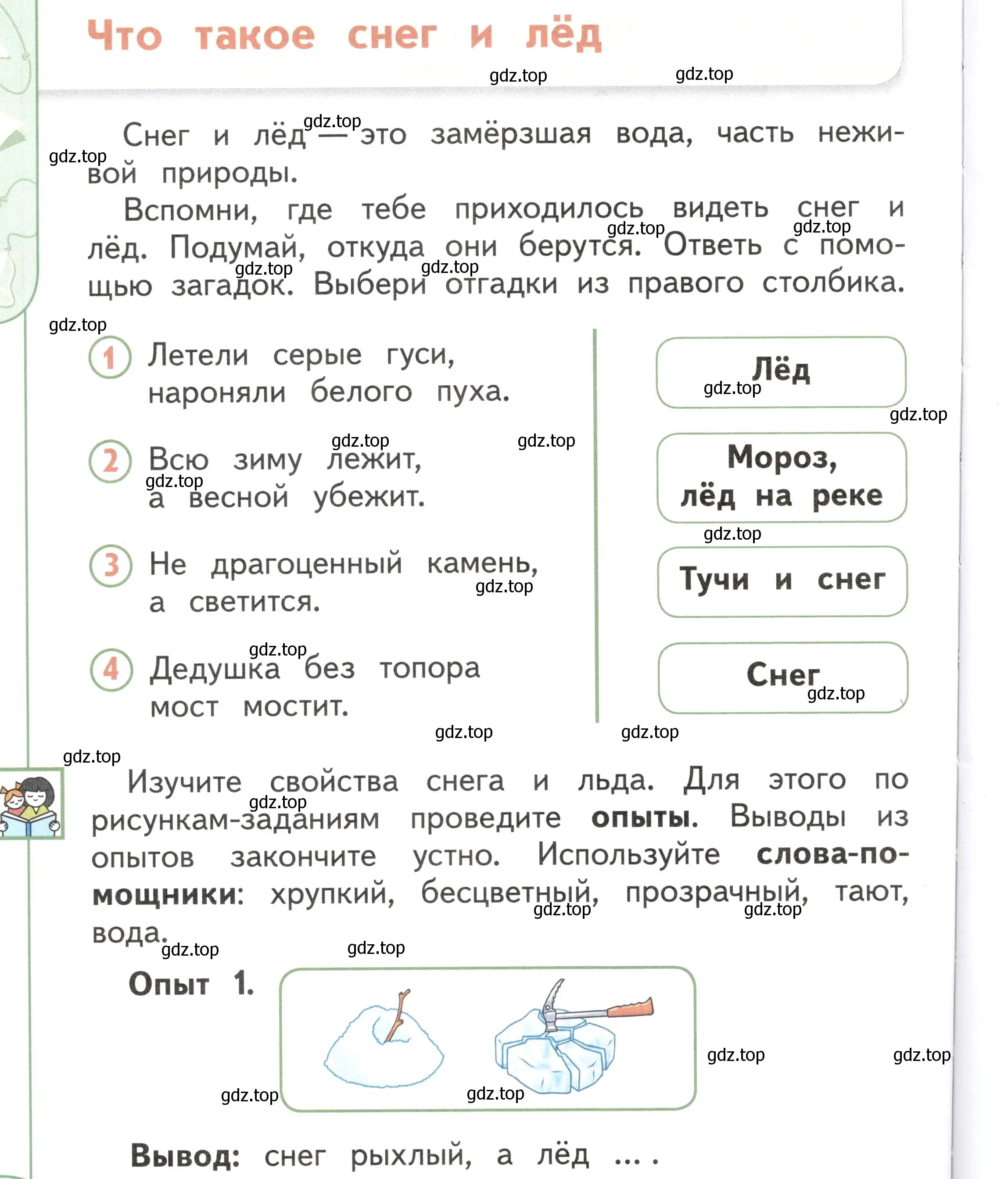 Условие Страница 82 гдз по окружающему миру 1 класс Плешаков, Новицкая, учебник 1 часть