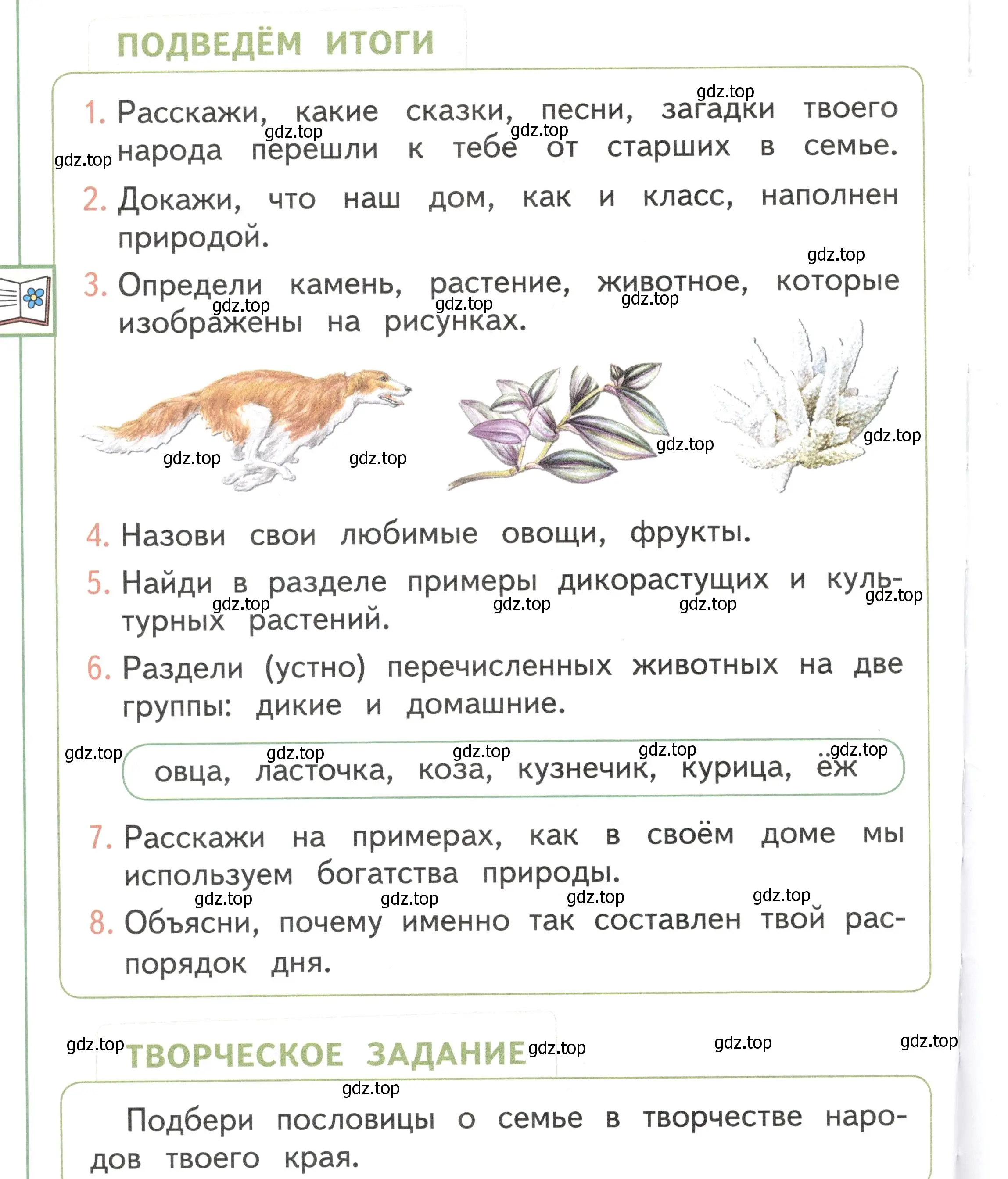 Условие Страница 88 гдз по окружающему миру 1 класс Плешаков, Новицкая, учебник 1 часть