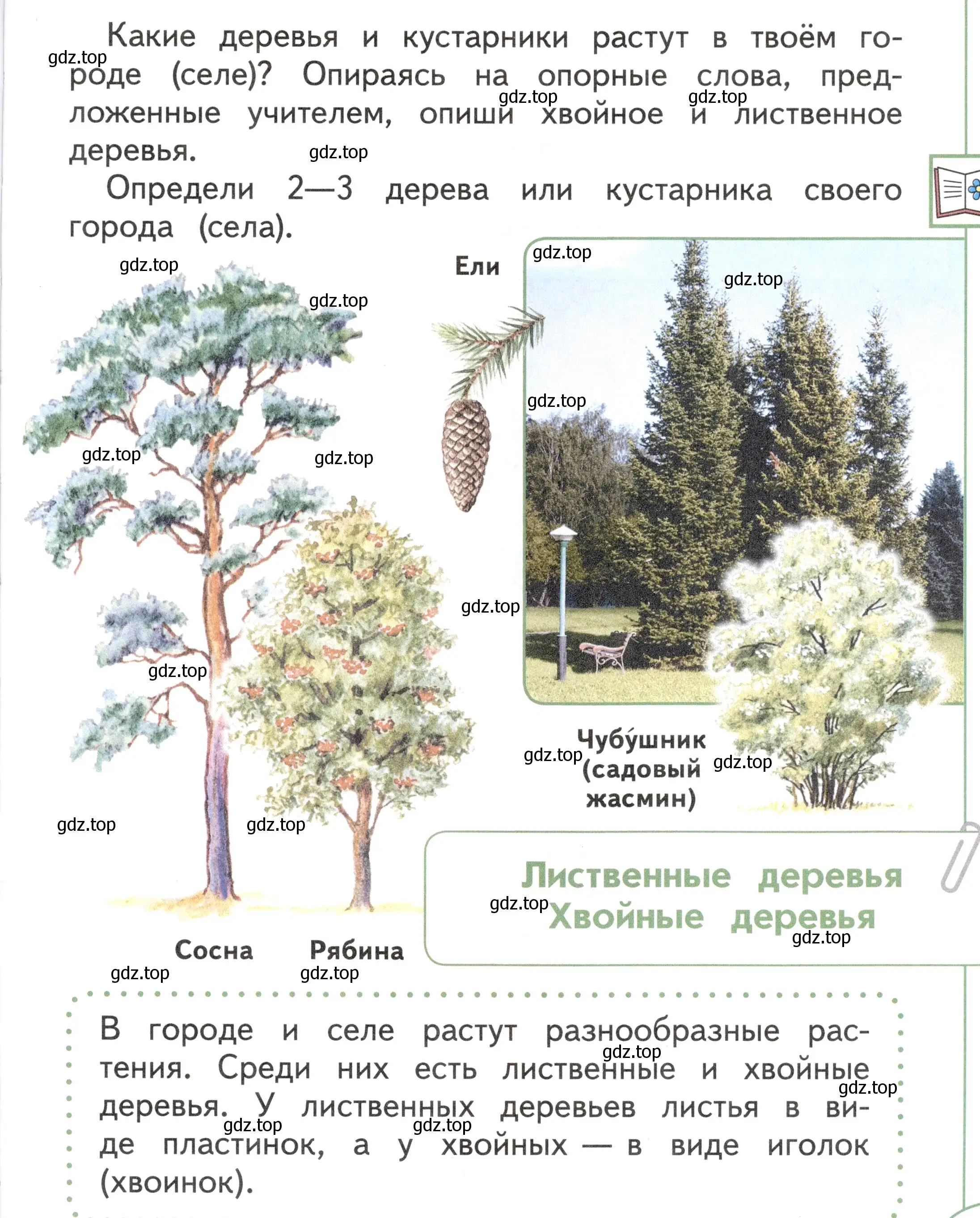 Условие Страница 23 гдз по окружающему миру 1 класс Плешаков, Новицкая, учебник 2 часть