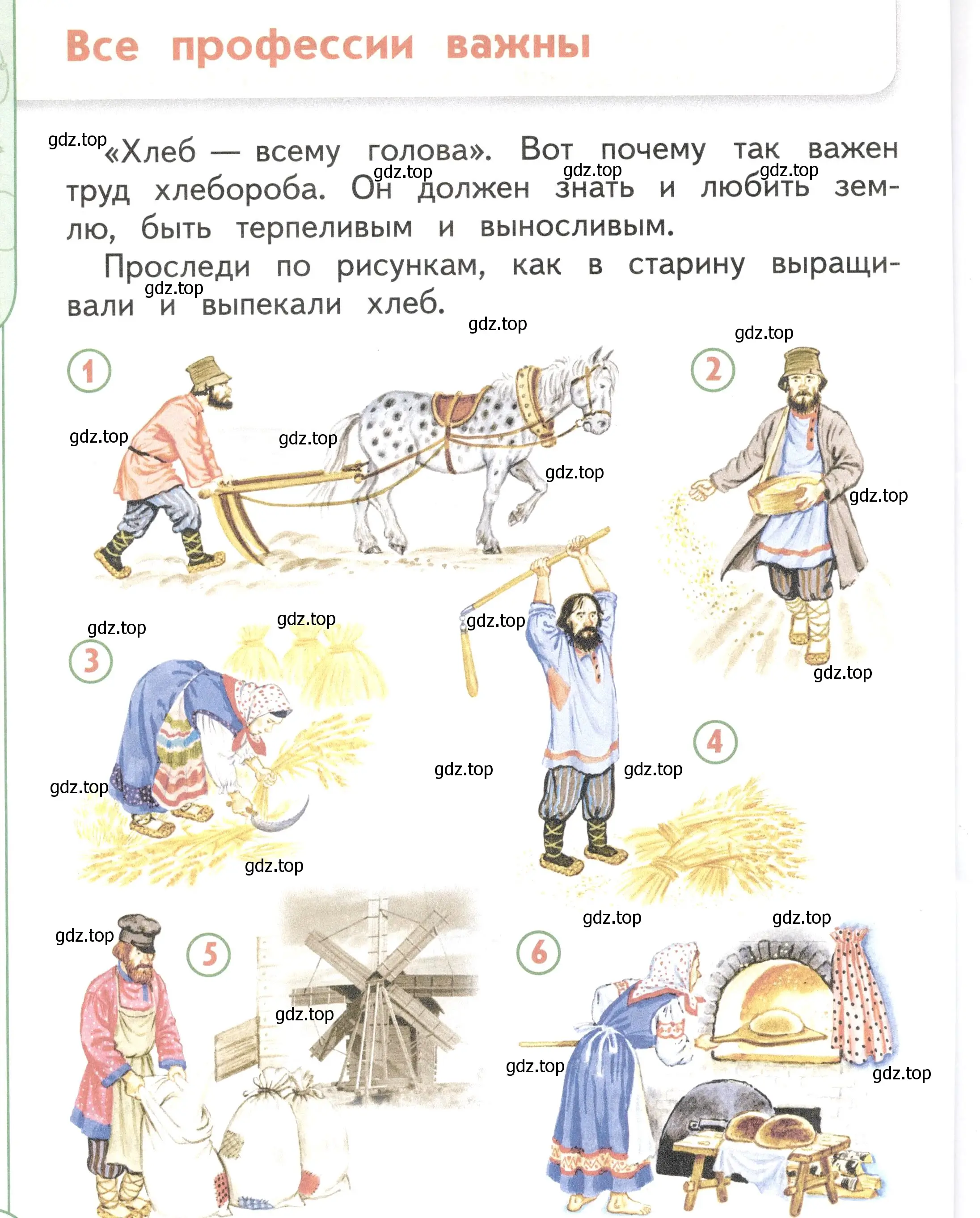 Условие Страница 36 гдз по окружающему миру 1 класс Плешаков, Новицкая, учебник 2 часть