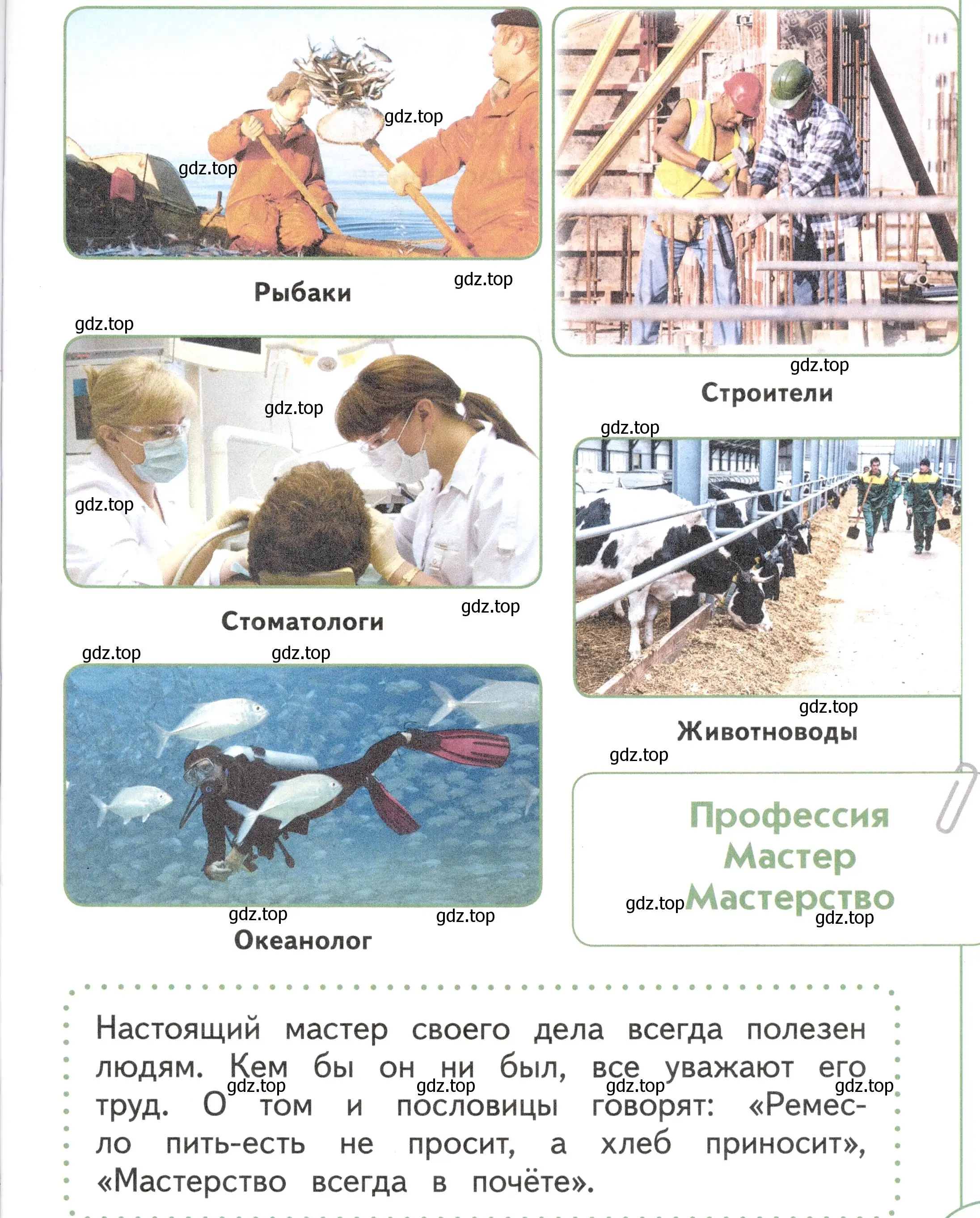 Условие Страница 39 гдз по окружающему миру 1 класс Плешаков, Новицкая, учебник 2 часть