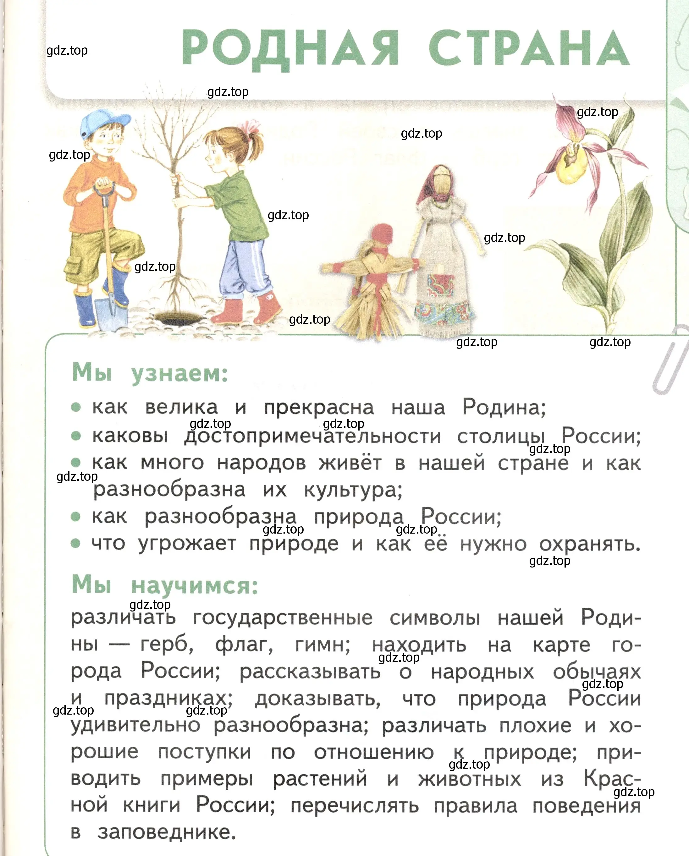 Условие Страница 41 гдз по окружающему миру 1 класс Плешаков, Новицкая, учебник 2 часть