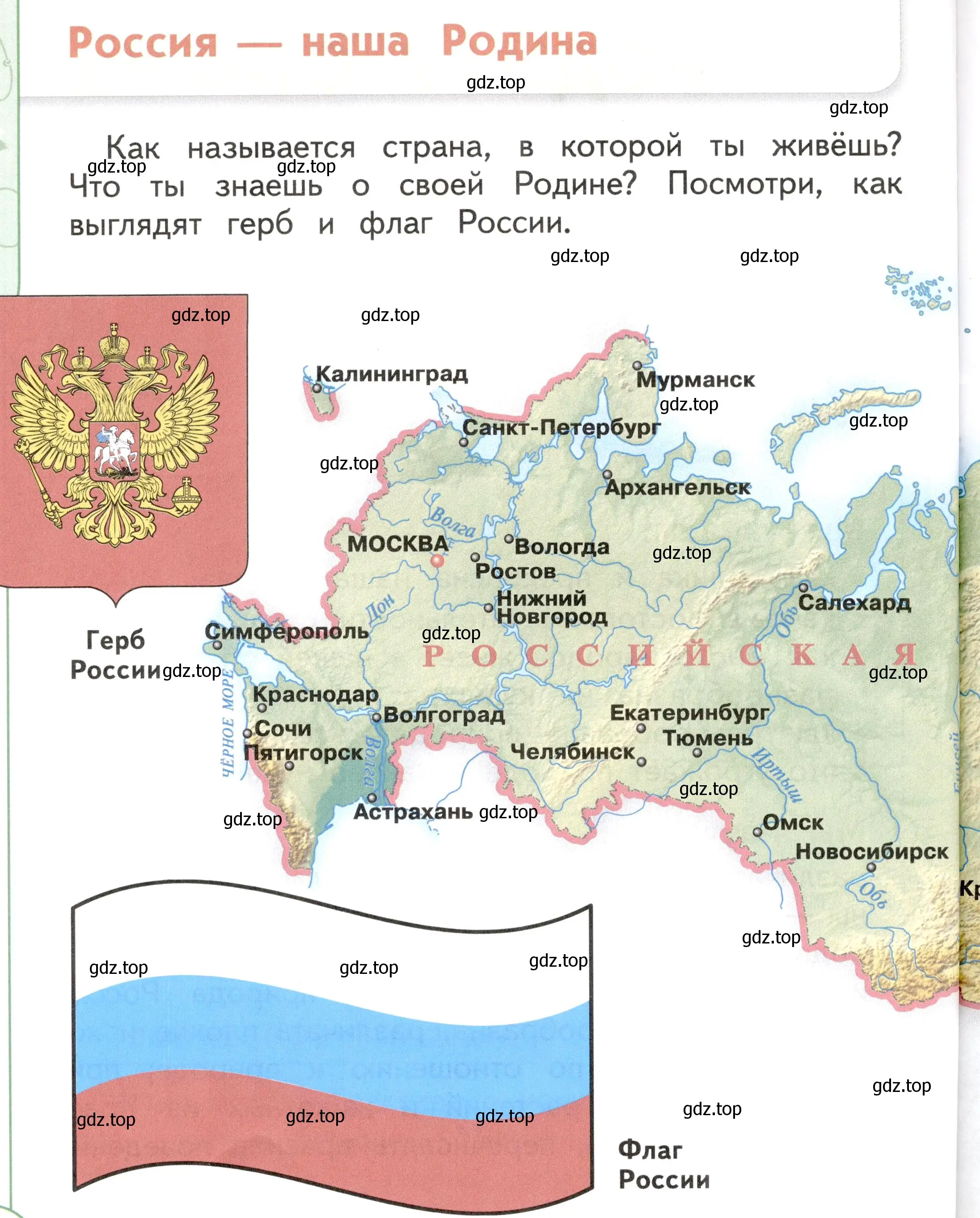 Условие Страница 42 гдз по окружающему миру 1 класс Плешаков, Новицкая, учебник 2 часть