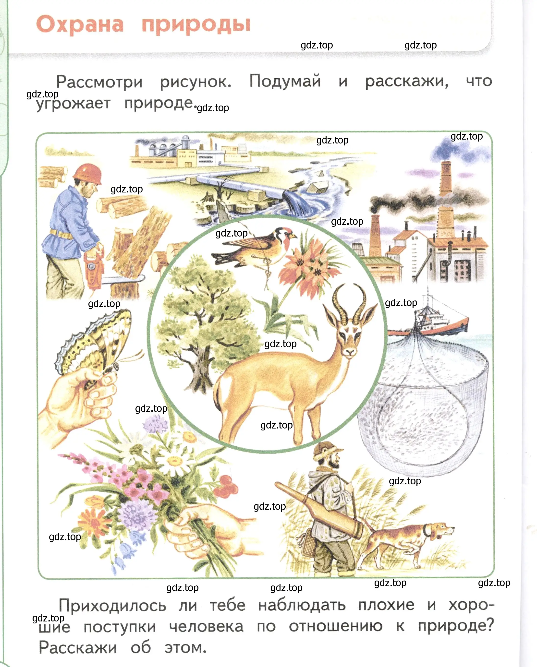 Условие Страница 52 гдз по окружающему миру 1 класс Плешаков, Новицкая, учебник 2 часть