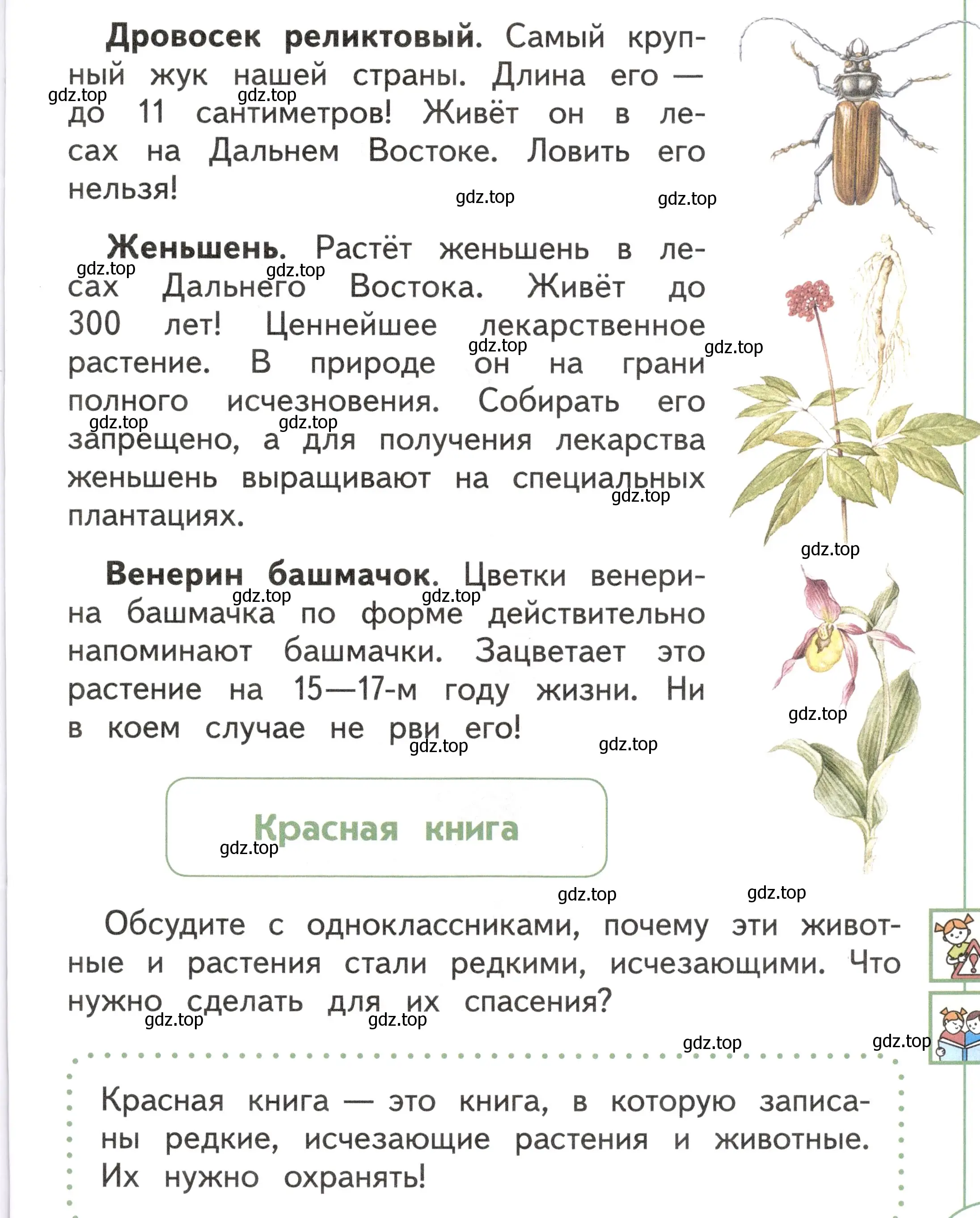 Условие Страница 55 гдз по окружающему миру 1 класс Плешаков, Новицкая, учебник 2 часть