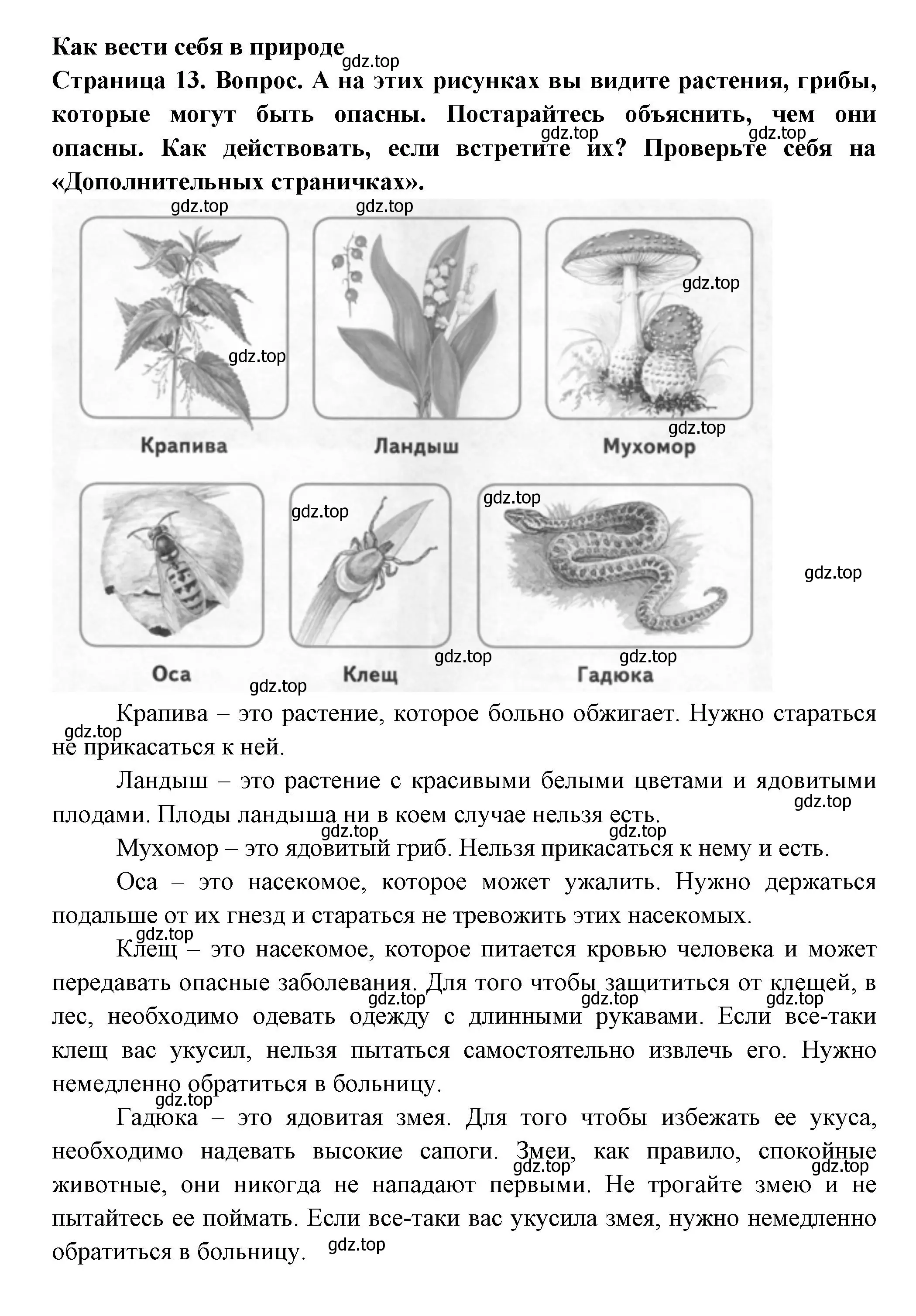 Решение Страница 13 гдз по окружающему миру 1 класс Плешаков, Новицкая, учебник 1 часть