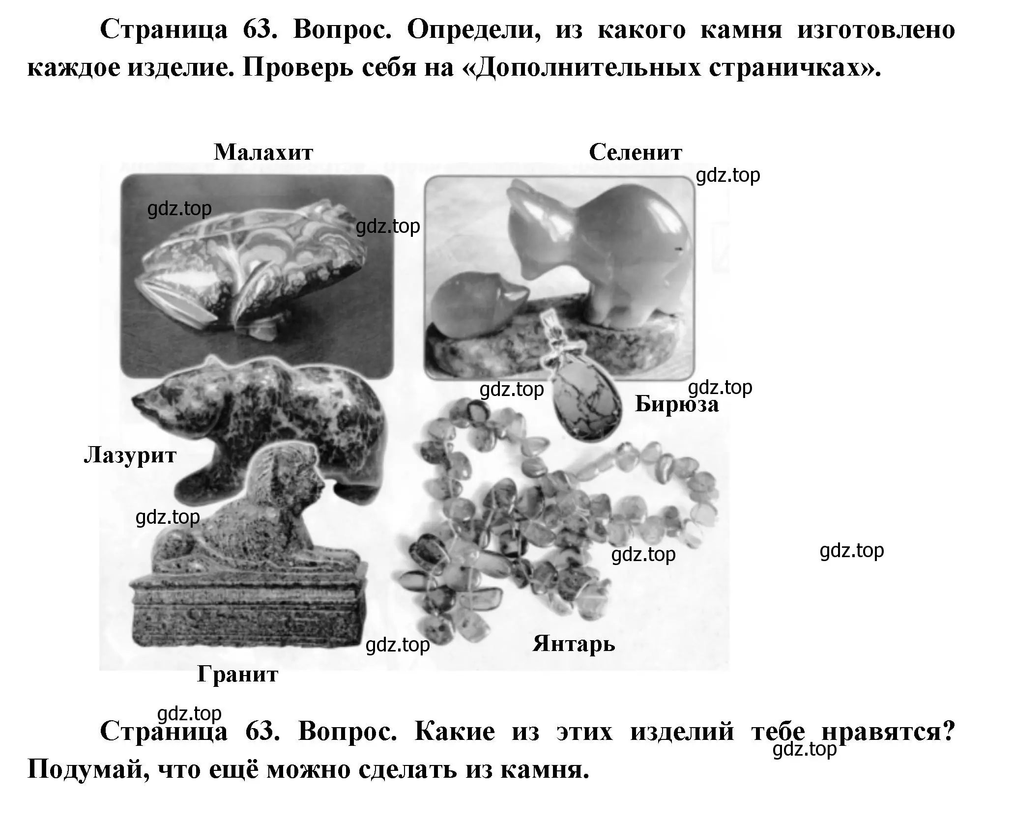 Решение Страница 63 гдз по окружающему миру 1 класс Плешаков, Новицкая, учебник 1 часть