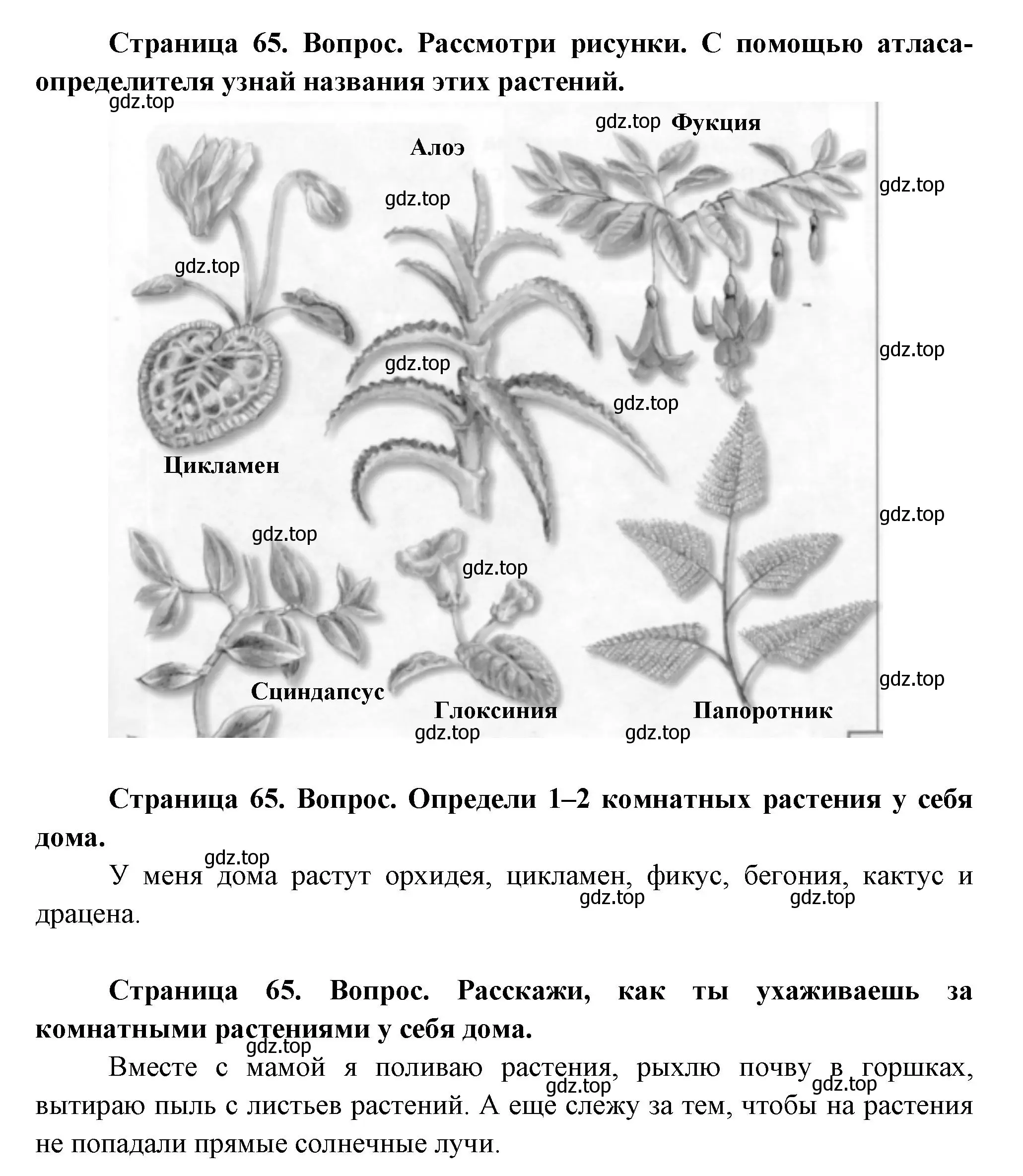 Решение Страница 65 гдз по окружающему миру 1 класс Плешаков, Новицкая, учебник 1 часть