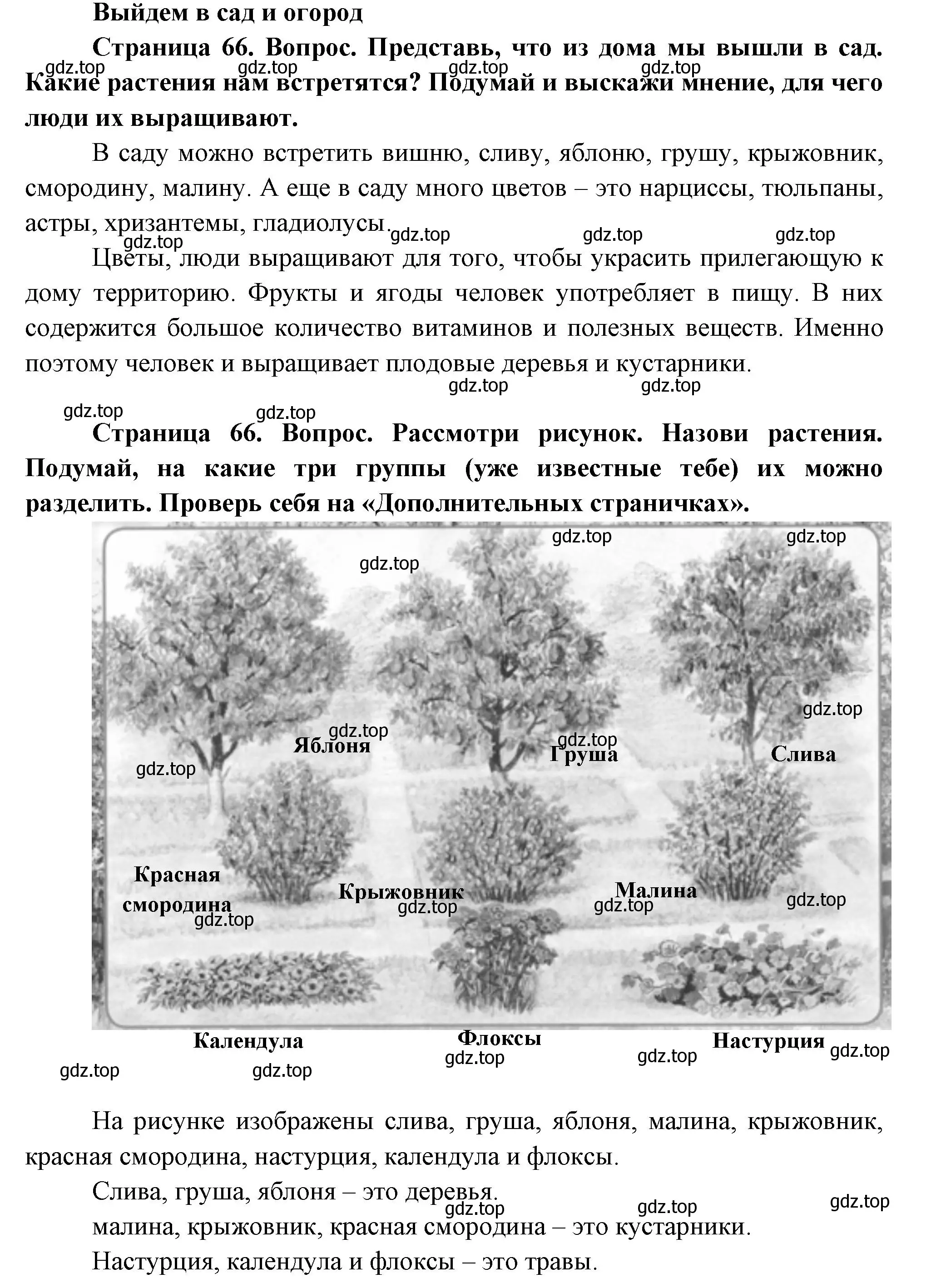 Решение Страница 66 гдз по окружающему миру 1 класс Плешаков, Новицкая, учебник 1 часть