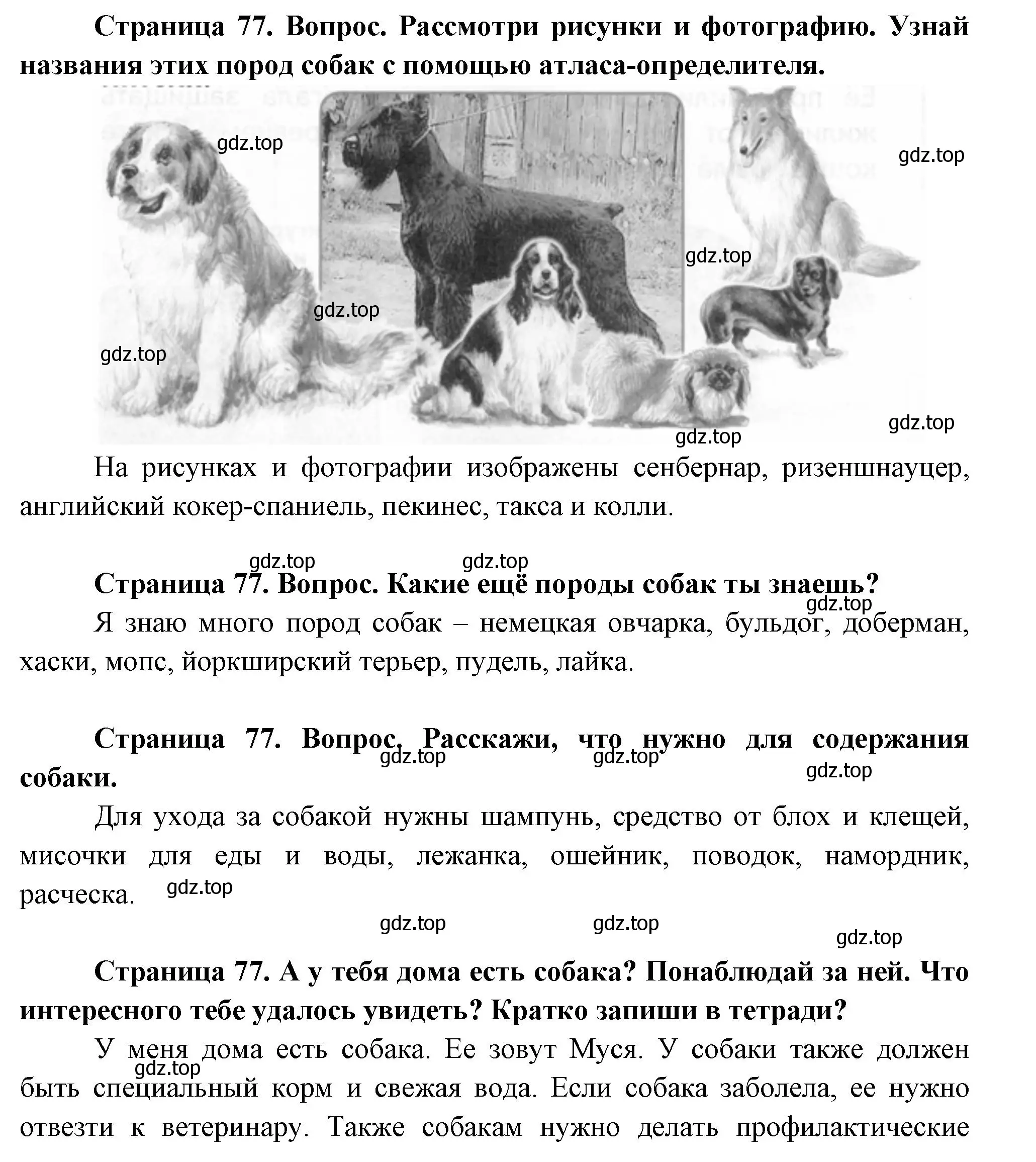 Решение Страница 77 гдз по окружающему миру 1 класс Плешаков, Новицкая, учебник 1 часть