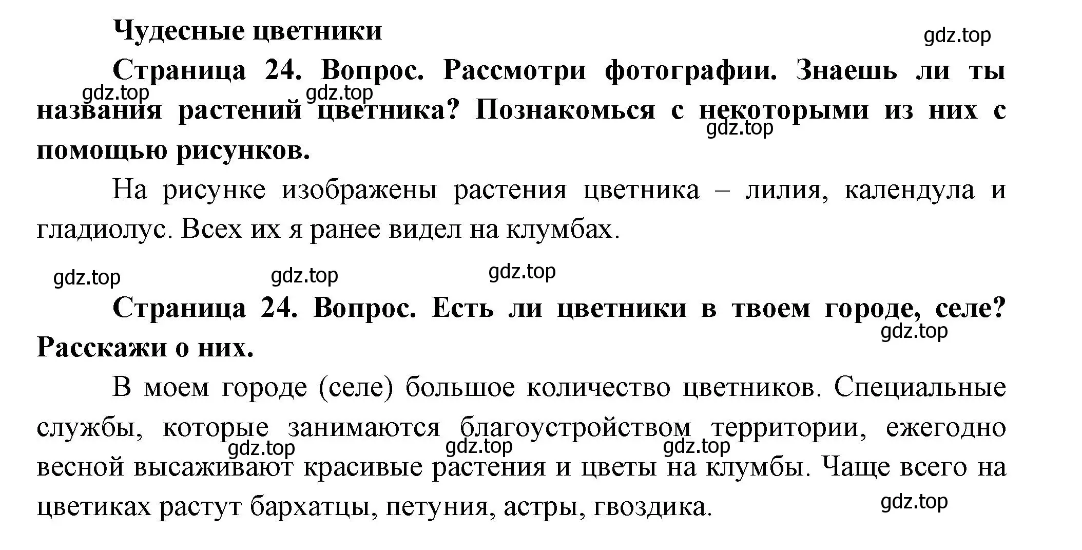 Решение Страница 24 гдз по окружающему миру 1 класс Плешаков, Новицкая, учебник 2 часть