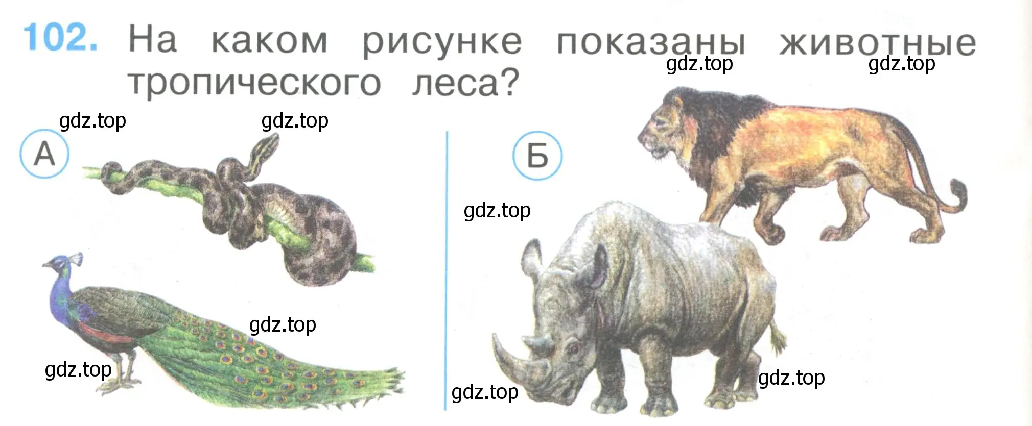 Условие номер 102 (страница 36) гдз по окружающему миру 1 класс Плешаков, Гара, тесты