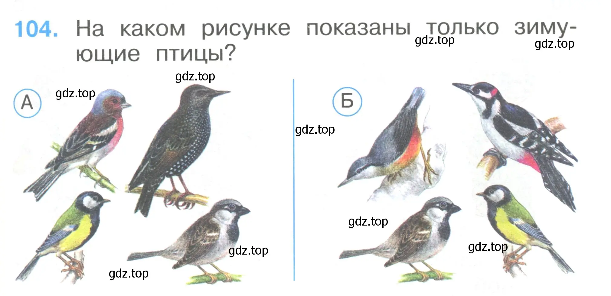 Условие номер 104 (страница 37) гдз по окружающему миру 1 класс Плешаков, Гара, тесты