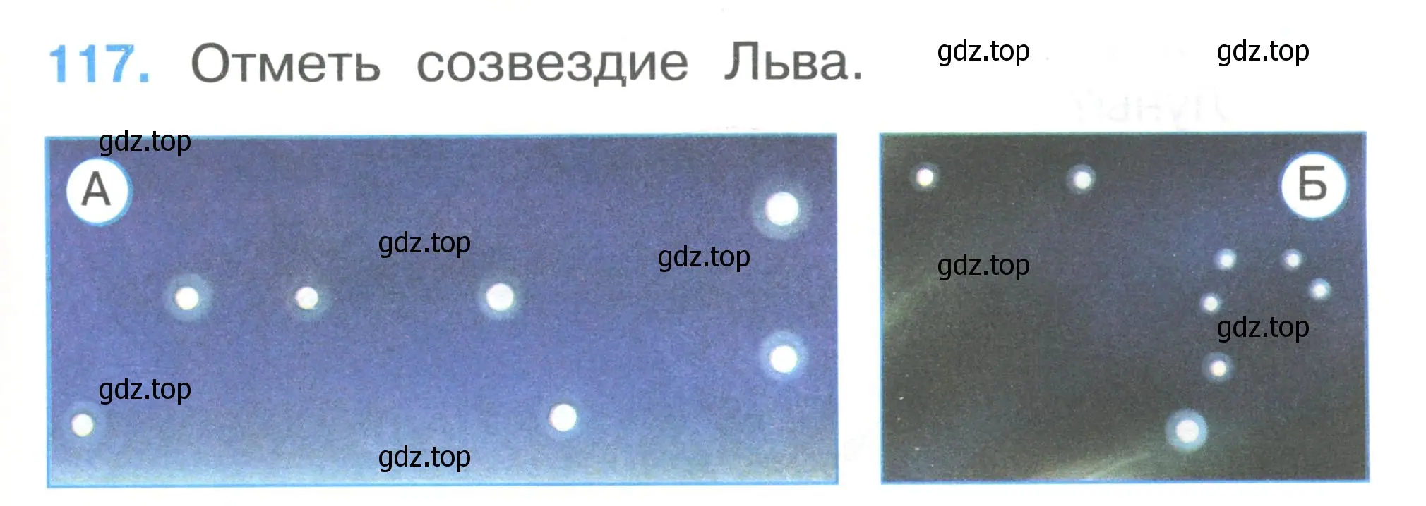 Условие номер 117 (страница 41) гдз по окружающему миру 1 класс Плешаков, Гара, тесты