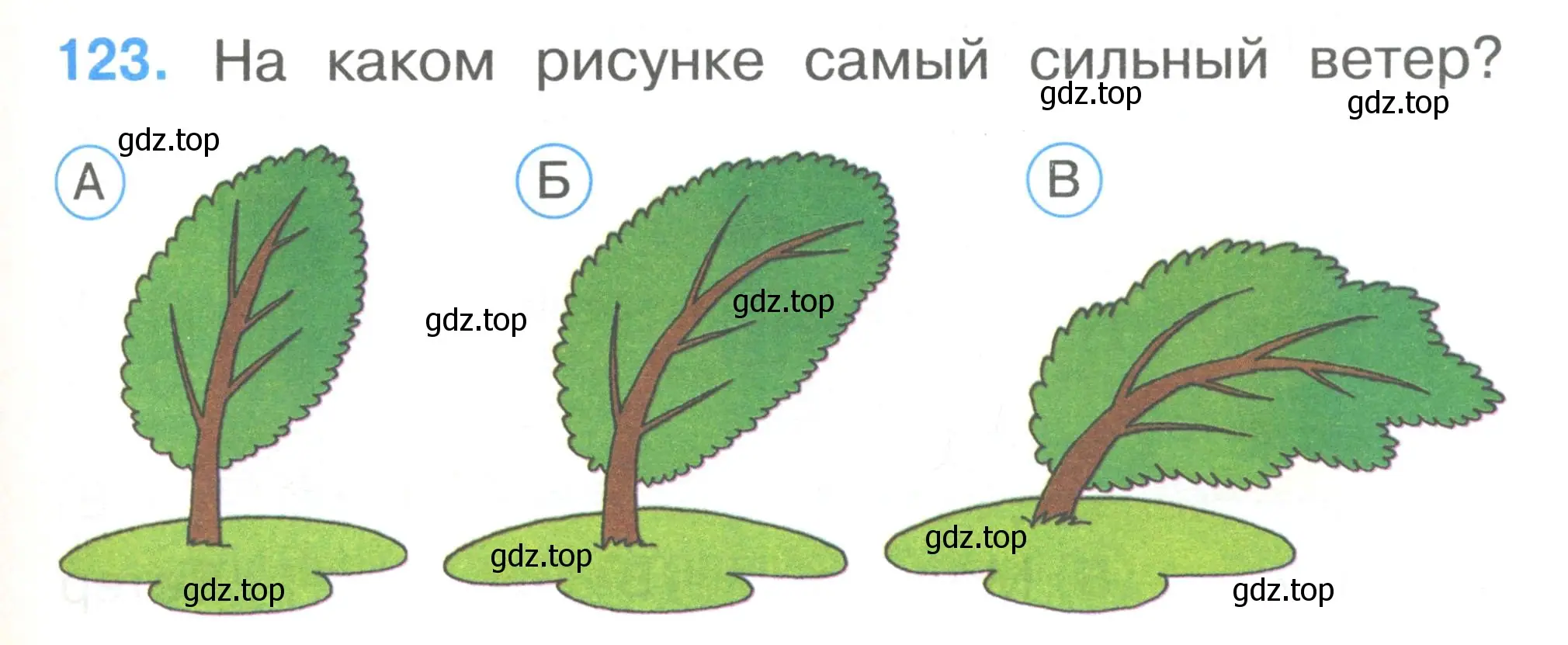 Условие номер 123 (страница 43) гдз по окружающему миру 1 класс Плешаков, Гара, тесты