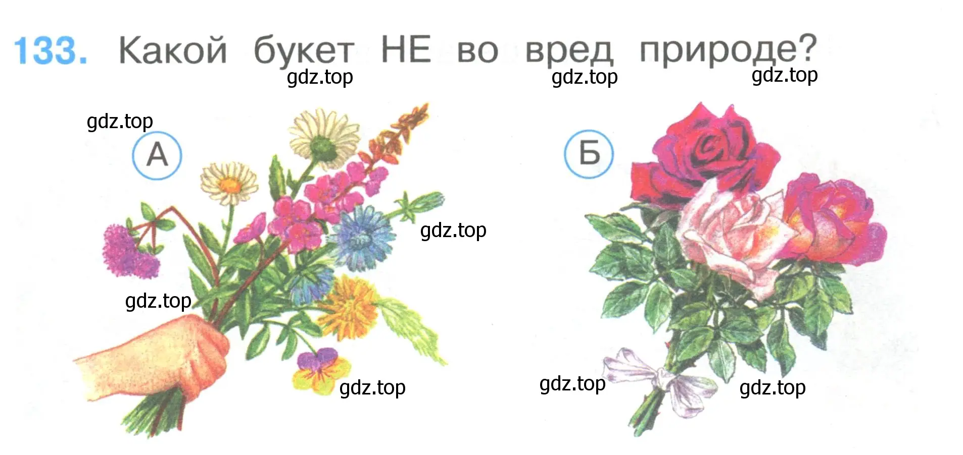 Условие номер 133 (страница 47) гдз по окружающему миру 1 класс Плешаков, Гара, тесты