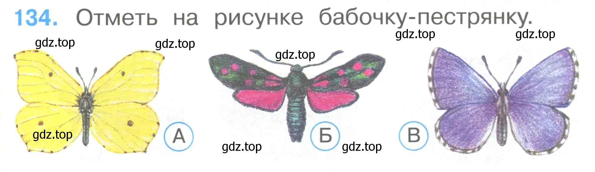 Условие номер 134 (страница 47) гдз по окружающему миру 1 класс Плешаков, Гара, тесты