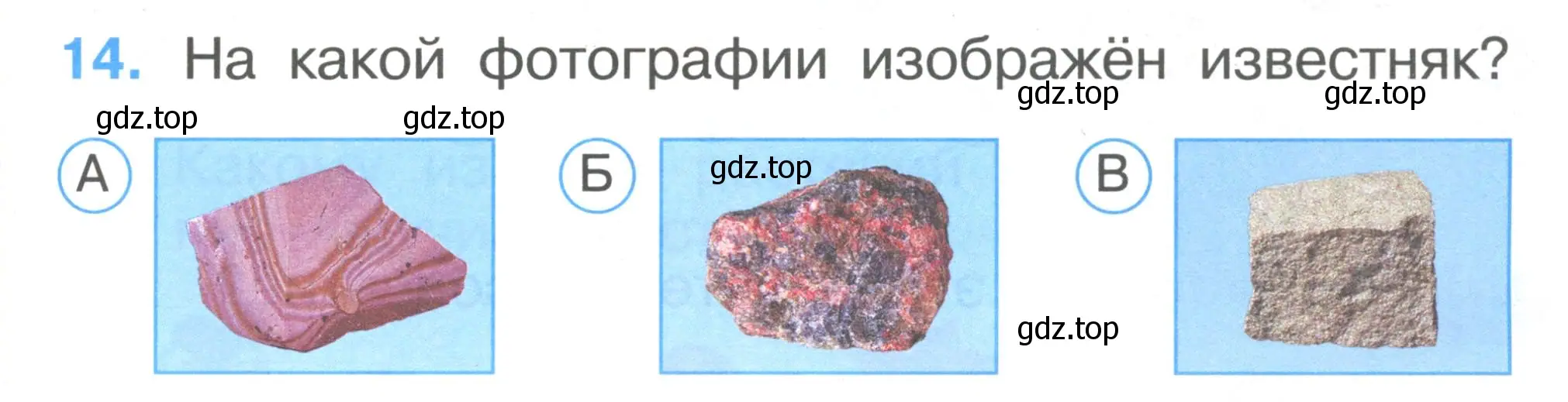 Условие номер 14 (страница 7) гдз по окружающему миру 1 класс Плешаков, Гара, тесты