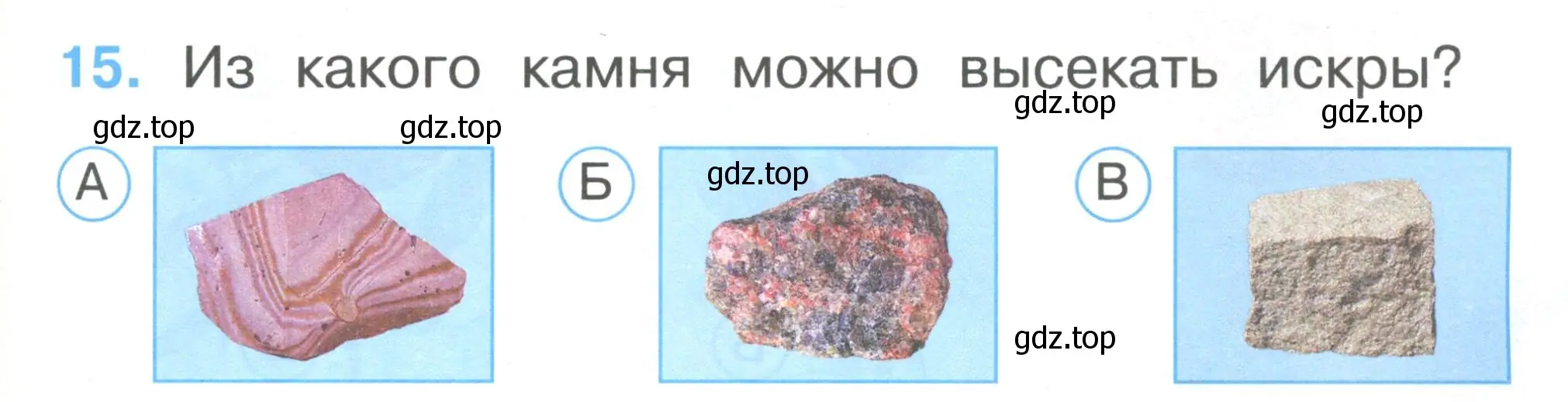 Условие номер 15 (страница 7) гдз по окружающему миру 1 класс Плешаков, Гара, тесты