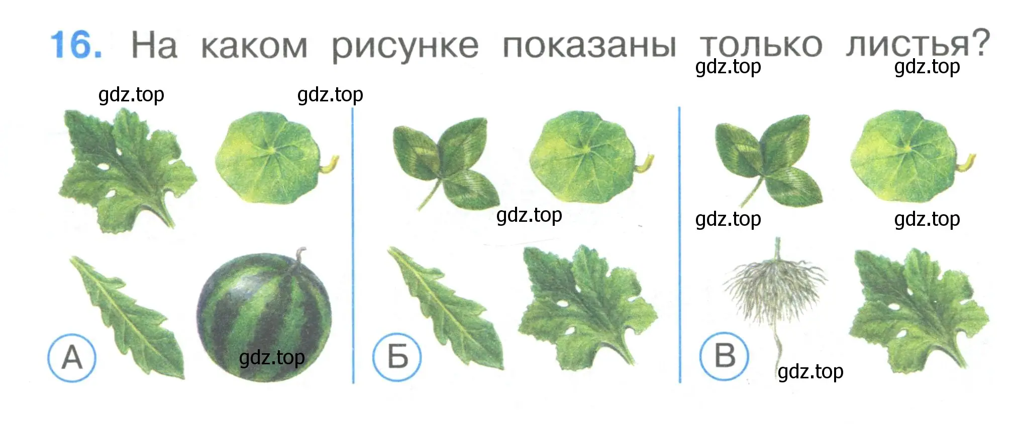 Условие номер 16 (страница 8) гдз по окружающему миру 1 класс Плешаков, Гара, тесты