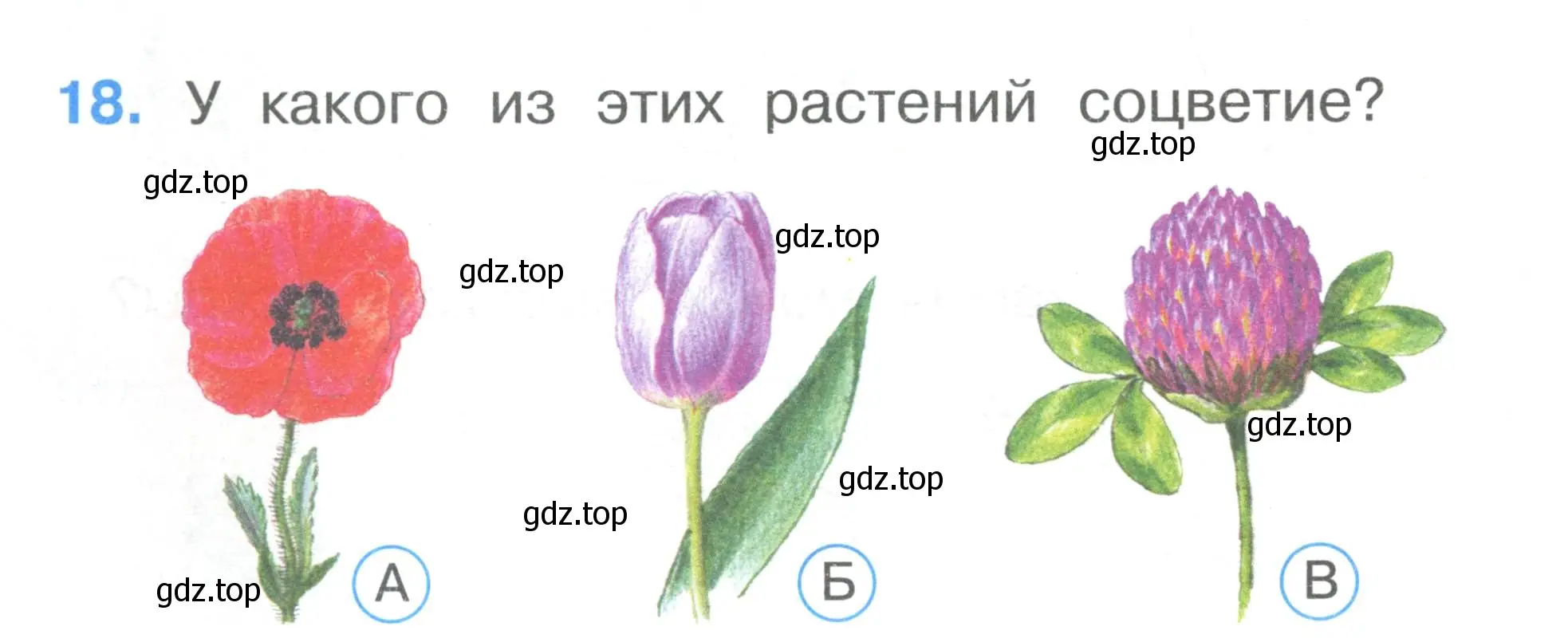 Условие номер 18 (страница 8) гдз по окружающему миру 1 класс Плешаков, Гара, тесты