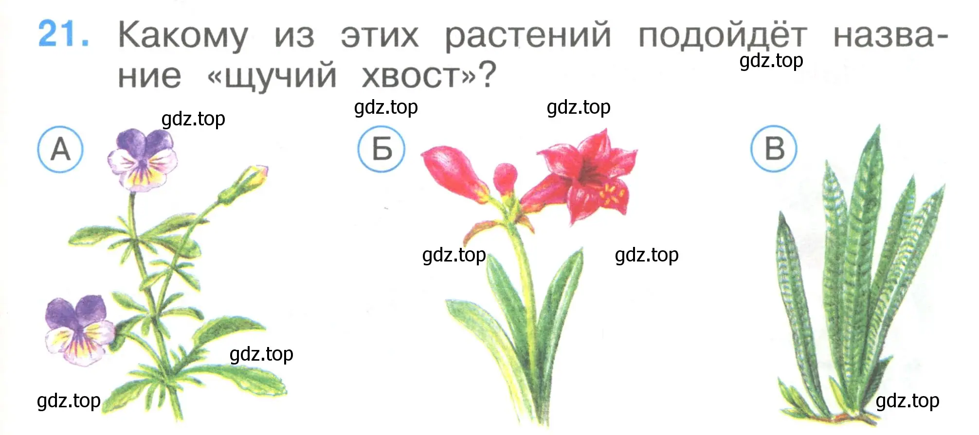 Условие номер 21 (страница 9) гдз по окружающему миру 1 класс Плешаков, Гара, тесты