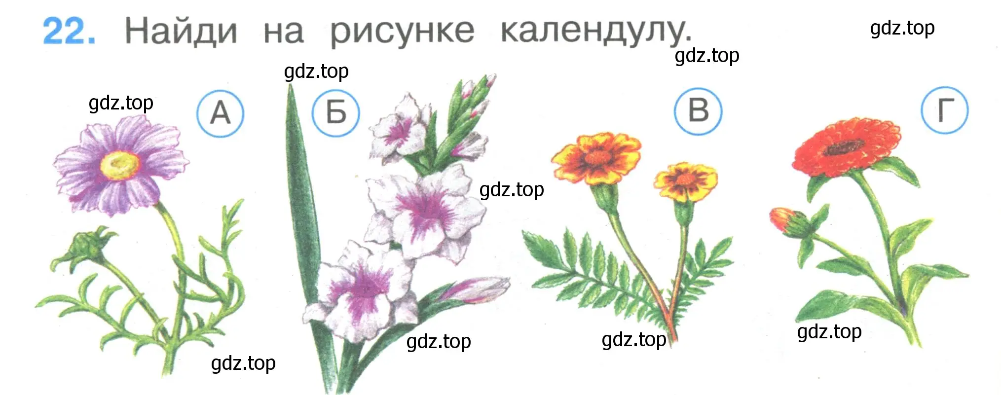 Условие номер 22 (страница 10) гдз по окружающему миру 1 класс Плешаков, Гара, тесты