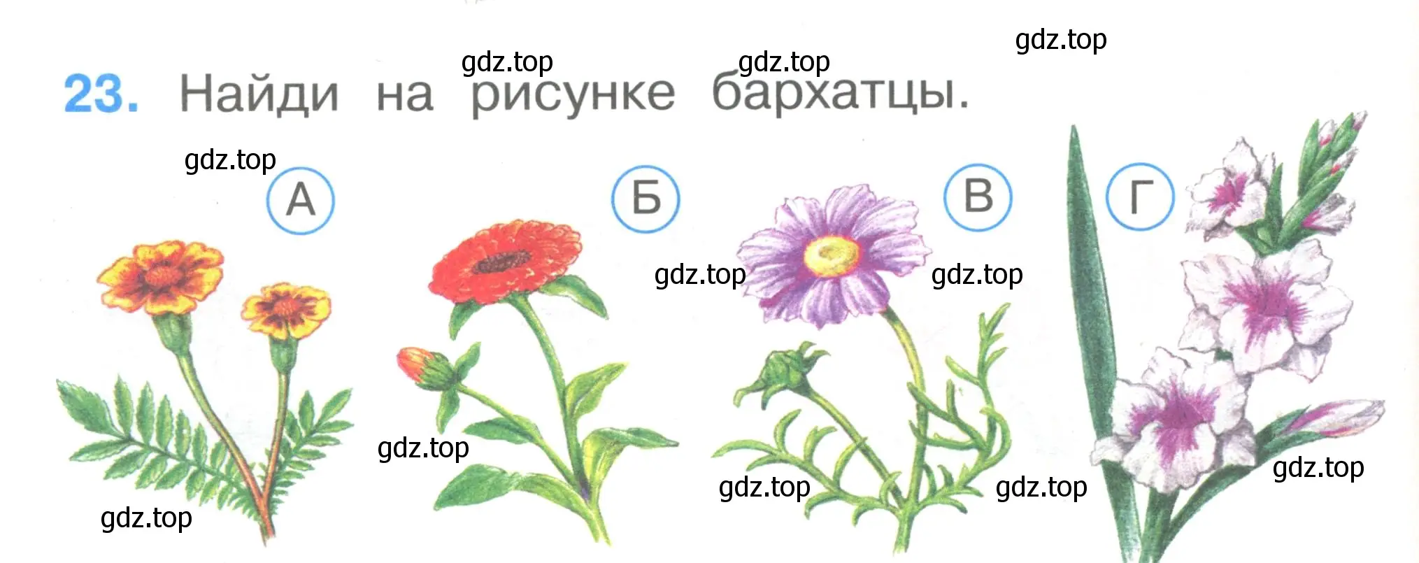 Условие номер 23 (страница 10) гдз по окружающему миру 1 класс Плешаков, Гара, тесты