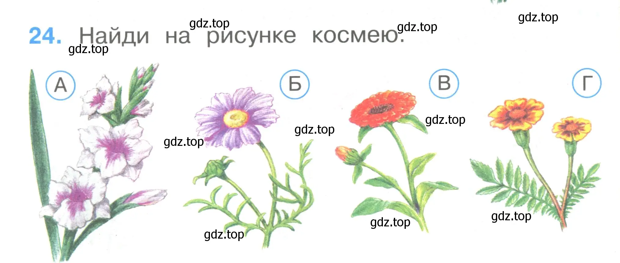 Условие номер 24 (страница 10) гдз по окружающему миру 1 класс Плешаков, Гара, тесты