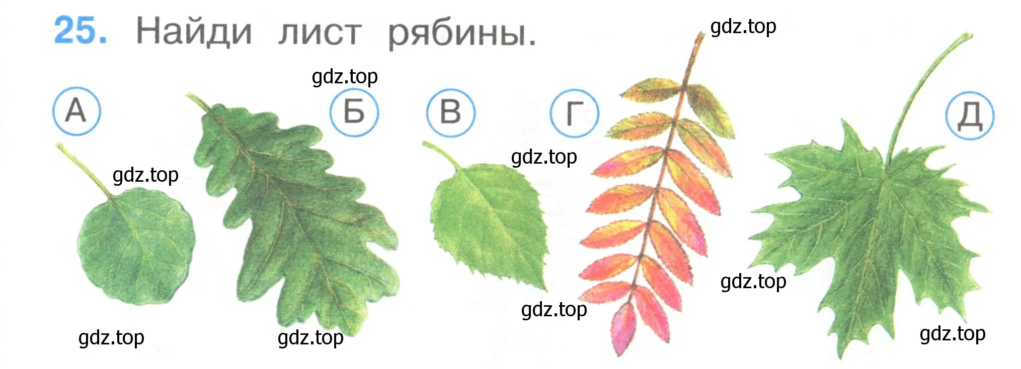 Условие номер 25 (страница 11) гдз по окружающему миру 1 класс Плешаков, Гара, тесты