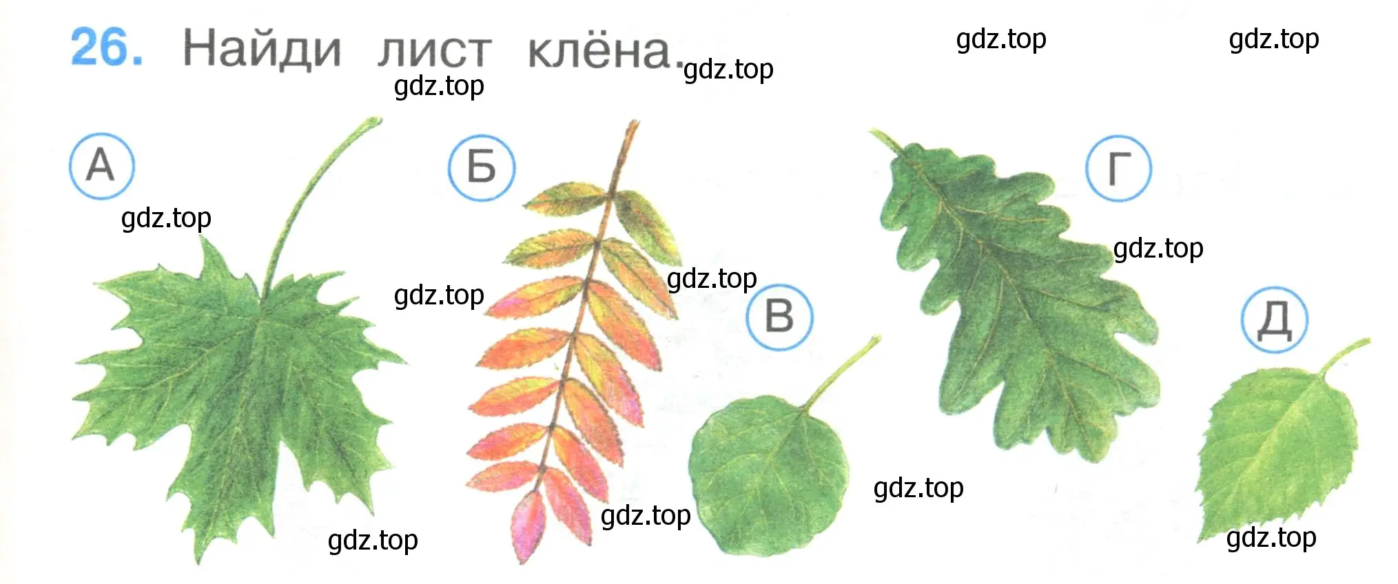 Условие номер 26 (страница 11) гдз по окружающему миру 1 класс Плешаков, Гара, тесты