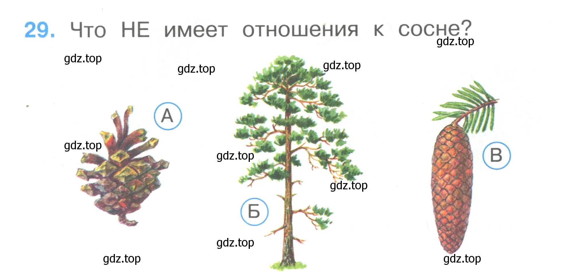 Условие номер 29 (страница 12) гдз по окружающему миру 1 класс Плешаков, Гара, тесты