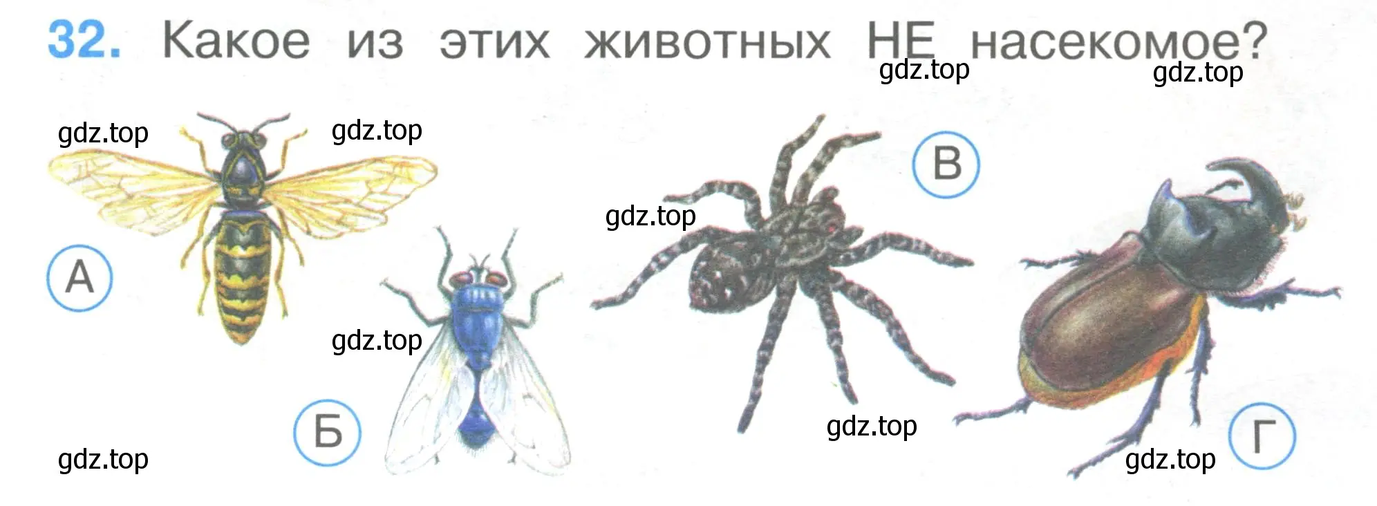 Условие номер 32 (страница 13) гдз по окружающему миру 1 класс Плешаков, Гара, тесты