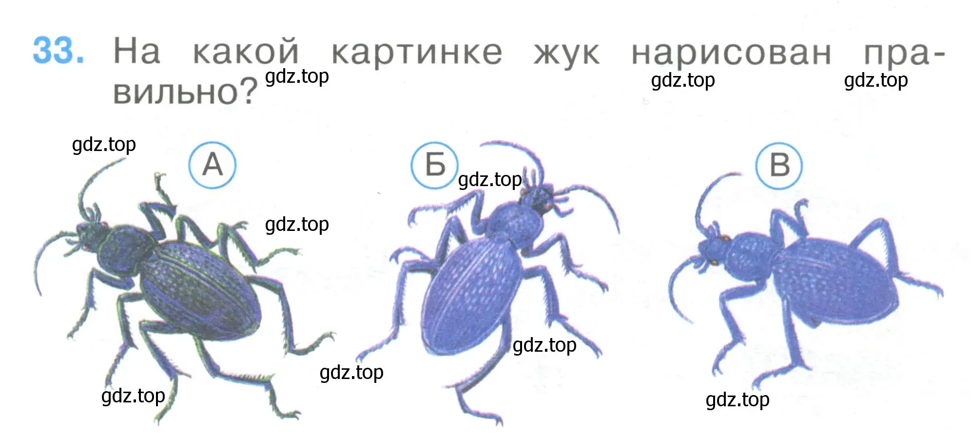 Условие номер 33 (страница 13) гдз по окружающему миру 1 класс Плешаков, Гара, тесты