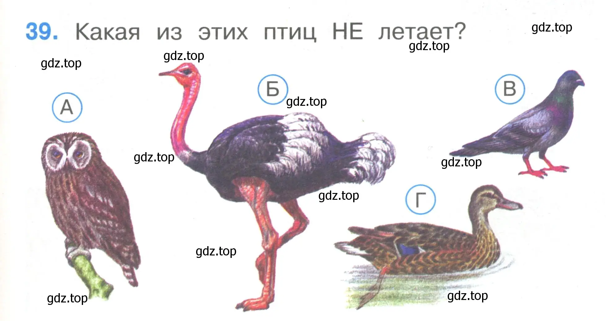 Условие номер 39 (страница 15) гдз по окружающему миру 1 класс Плешаков, Гара, тесты