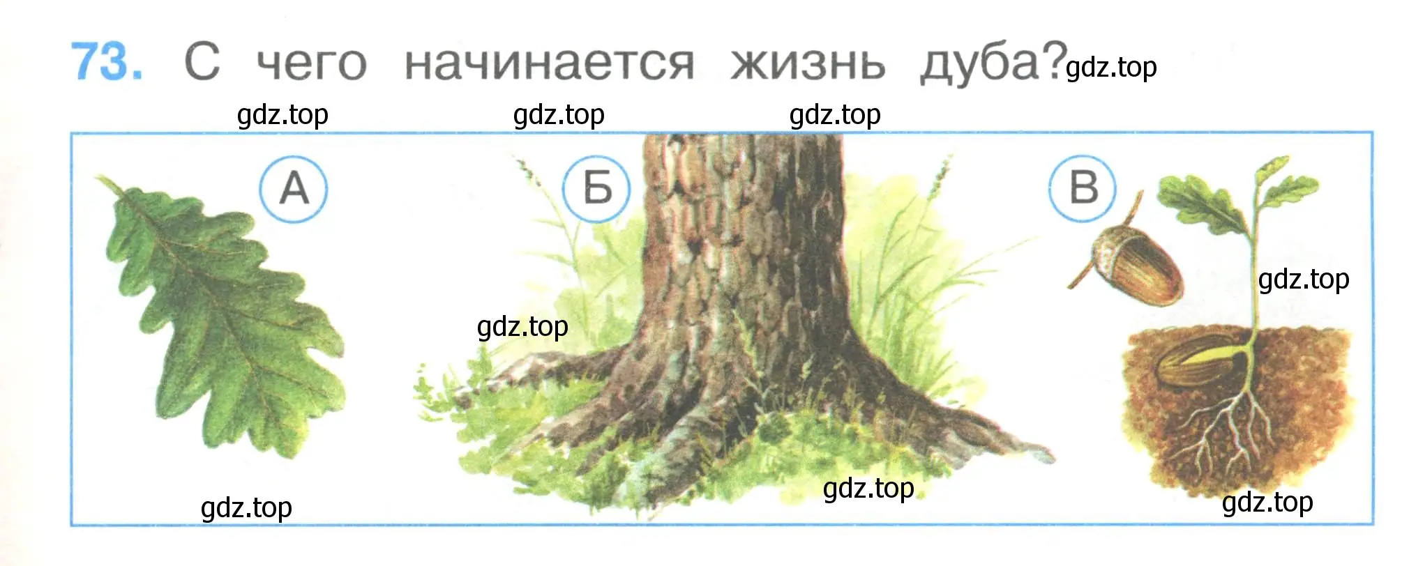 Условие номер 73 (страница 27) гдз по окружающему миру 1 класс Плешаков, Гара, тесты