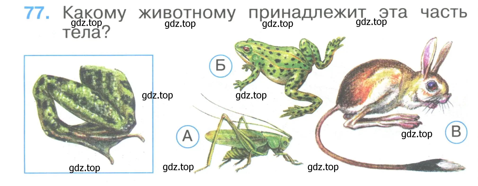 Условие номер 77 (страница 28) гдз по окружающему миру 1 класс Плешаков, Гара, тесты