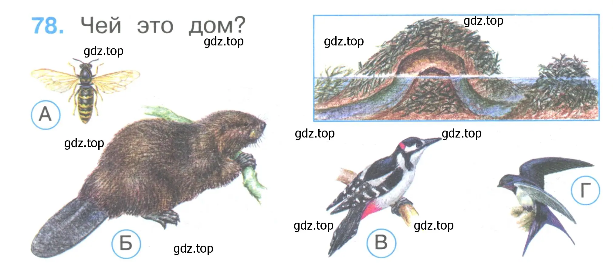 Условие номер 78 (страница 28) гдз по окружающему миру 1 класс Плешаков, Гара, тесты