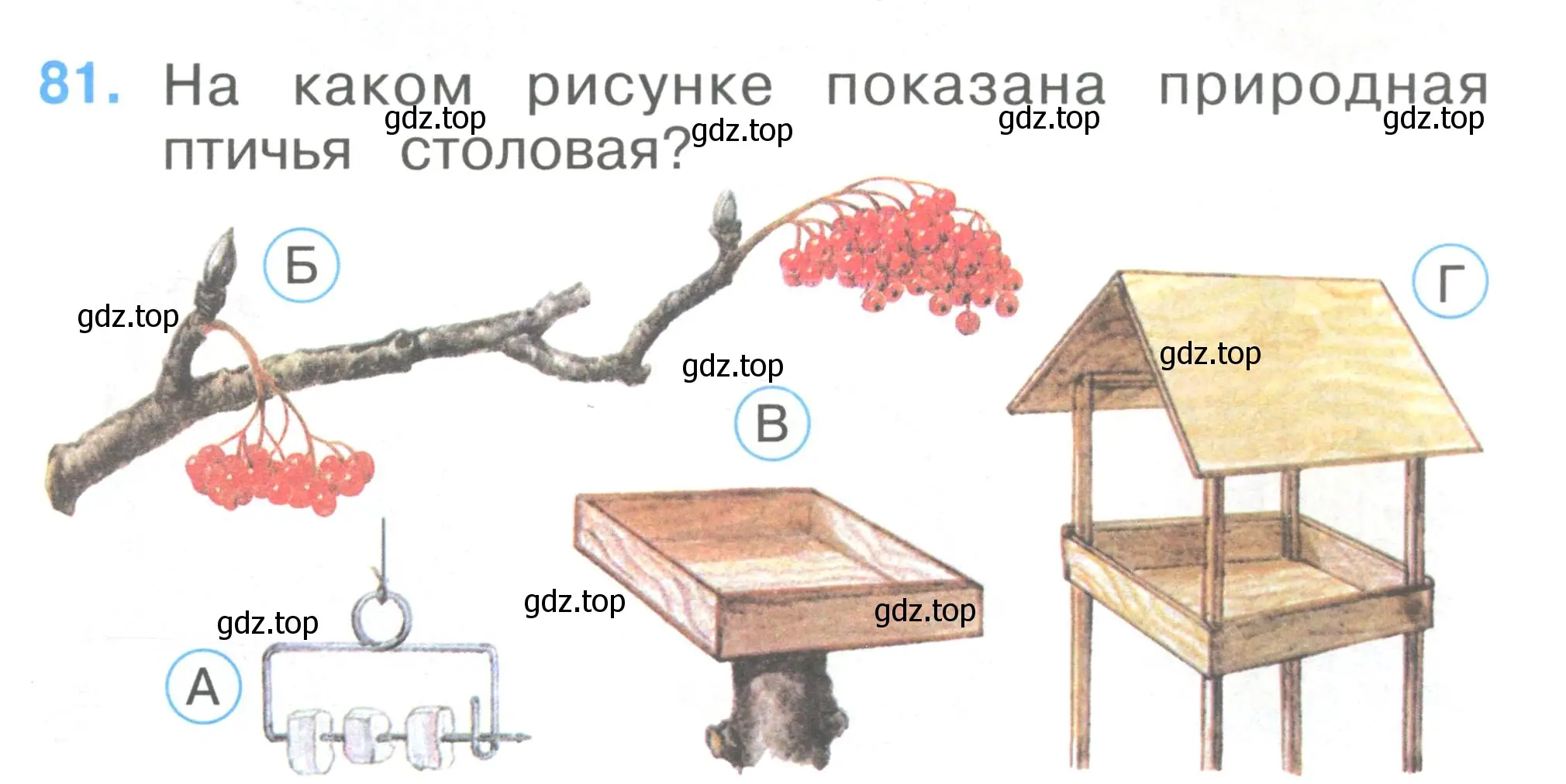 Условие номер 81 (страница 29) гдз по окружающему миру 1 класс Плешаков, Гара, тесты