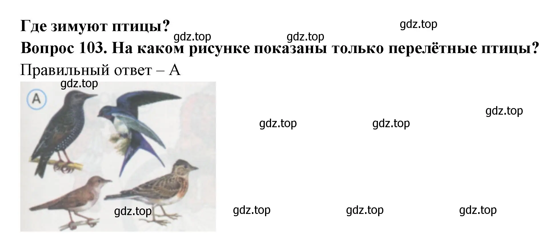 Решение номер 103 (страница 37) гдз по окружающему миру 1 класс Плешаков, Гара, тесты