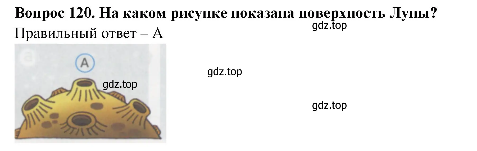 Решение номер 120 (страница 42) гдз по окружающему миру 1 класс Плешаков, Гара, тесты