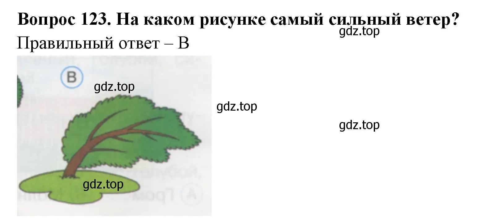 Решение номер 123 (страница 43) гдз по окружающему миру 1 класс Плешаков, Гара, тесты