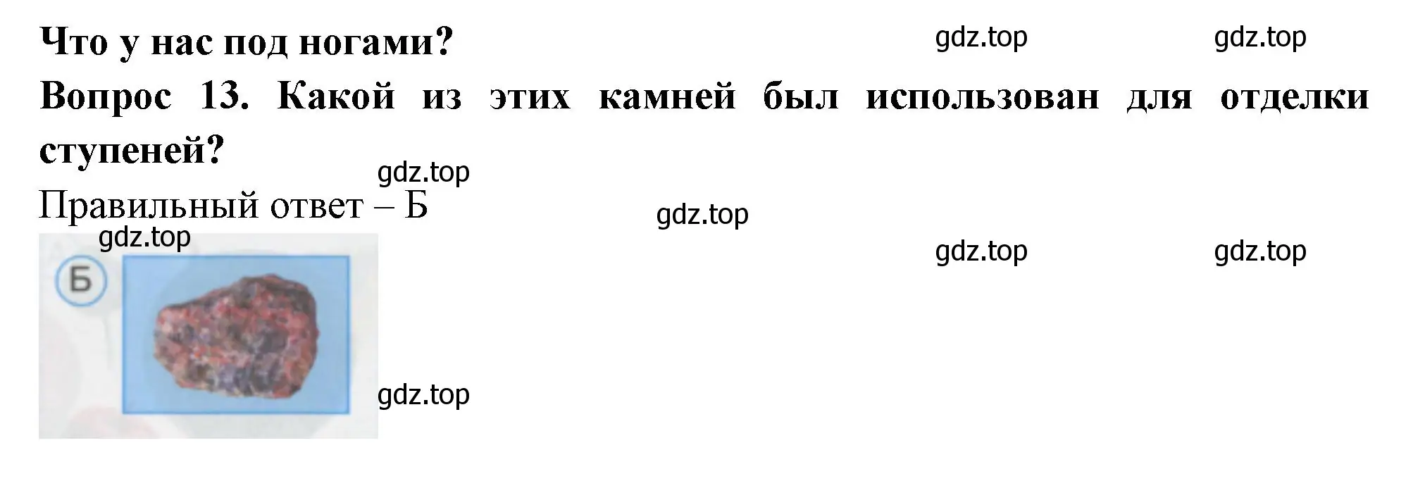 Решение номер 13 (страница 7) гдз по окружающему миру 1 класс Плешаков, Гара, тесты