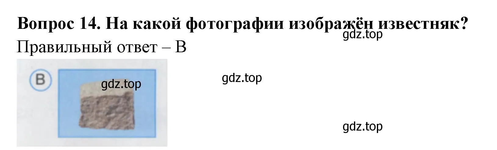 Решение номер 14 (страница 7) гдз по окружающему миру 1 класс Плешаков, Гара, тесты