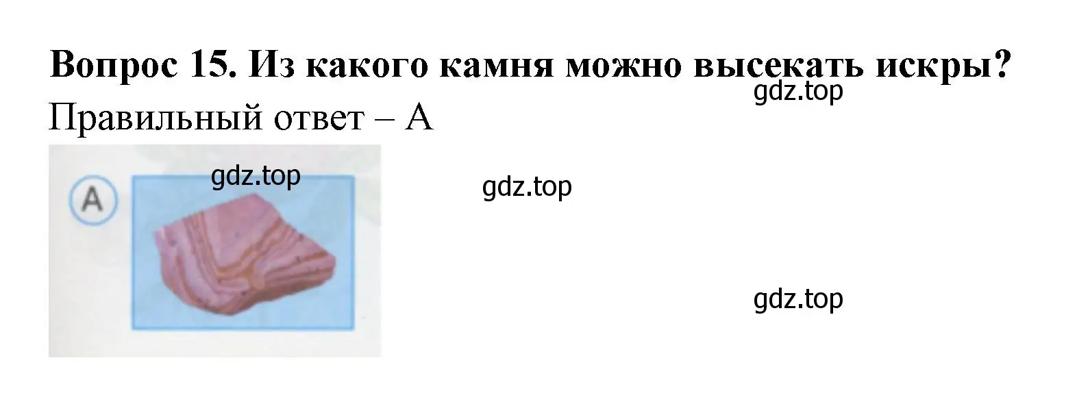 Решение номер 15 (страница 7) гдз по окружающему миру 1 класс Плешаков, Гара, тесты