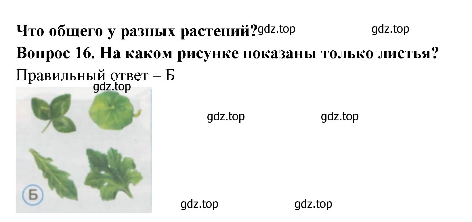 Решение номер 16 (страница 8) гдз по окружающему миру 1 класс Плешаков, Гара, тесты